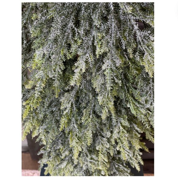 Bent Bough Cedar Drop - Picture 3 of 4